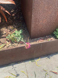 Close-up of Corten steel edging patina beside a walkway