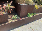 Corten steel edging forming raised planters in a desert garden