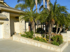 Arizona Classic Oak Flagstone, Arizona Classic Oak 1/1 - 4