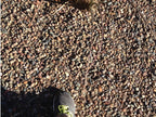 Arizona River Pebble, Arizona River 1/2- 3/4 Sample