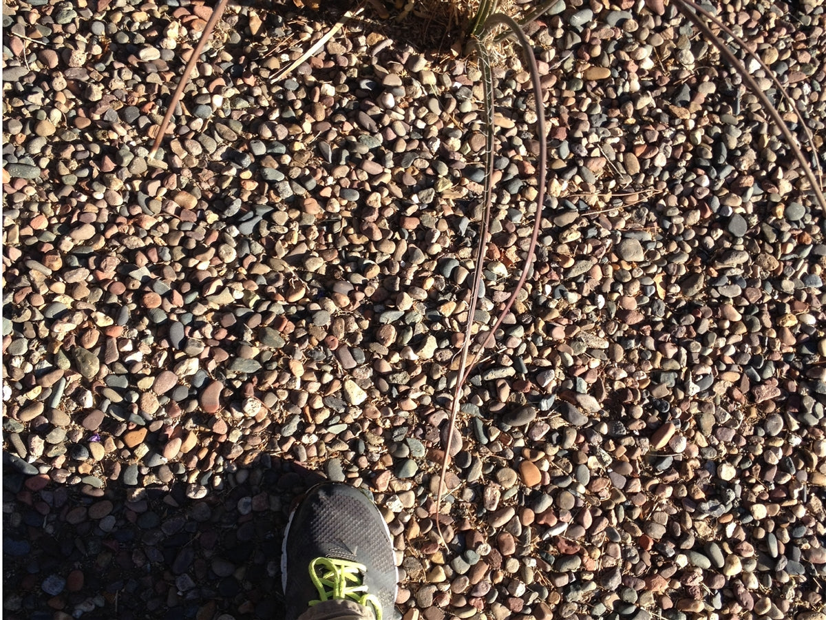 Arizona River Pebble, Arizona River 1/2- 3/4 Sample