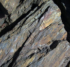 Bark Wood Boulders