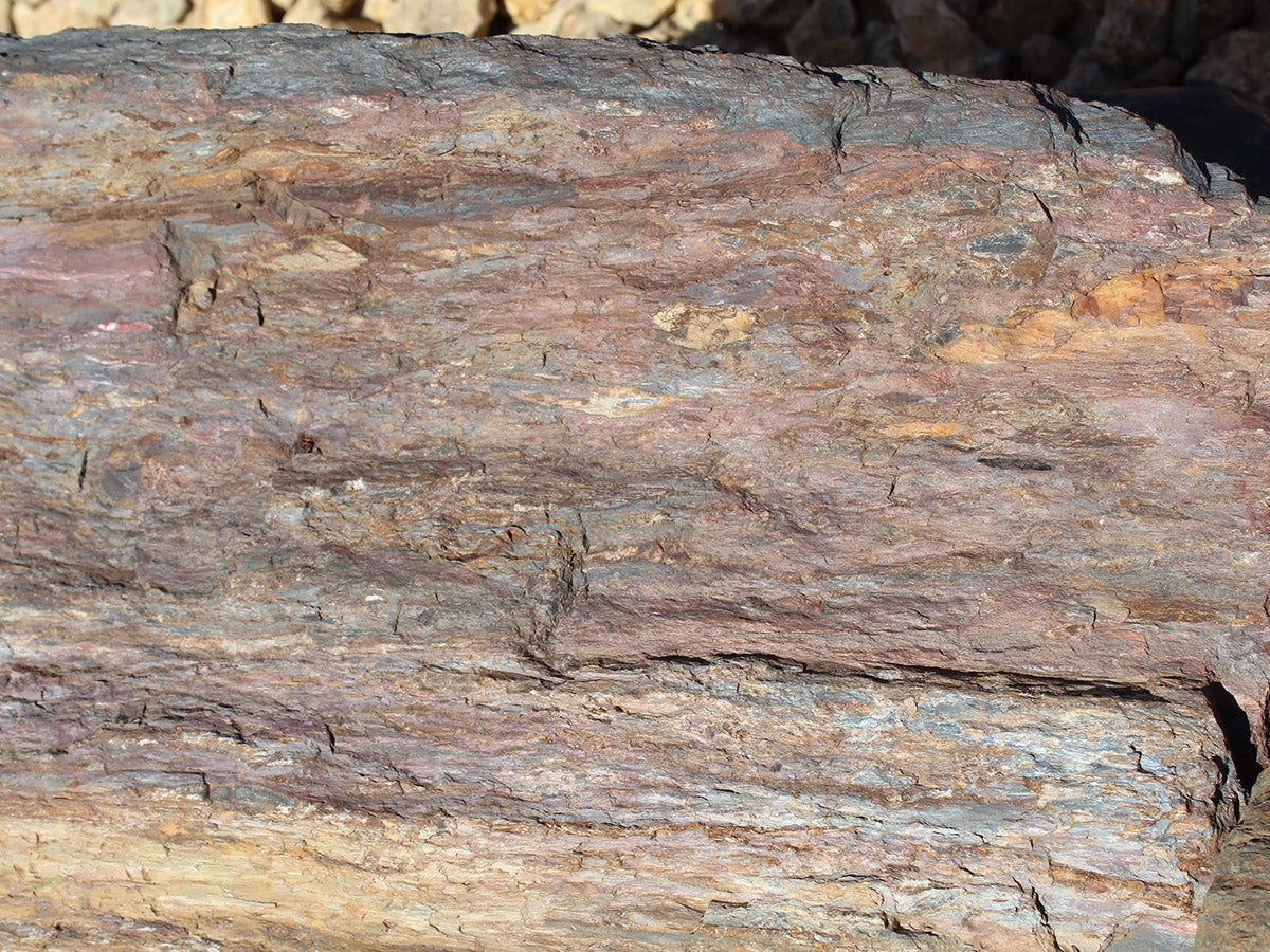 Barkwood landscape boulders, 24 to 30 inch size
