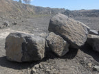 Black basalt boulder 3 feet across showing dark crystalline surface texture