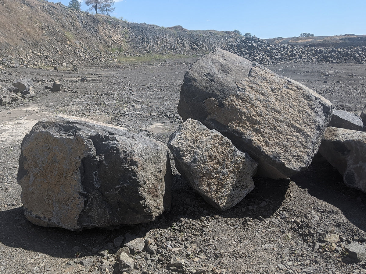 Black basalt boulder 3 feet across showing dark crystalline surface texture