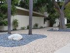 Black Mexican Beach Pebbles 1 inch - 2 inch