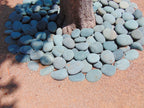 Black Mexican Beach Pebbles 5 inch - 8 inch