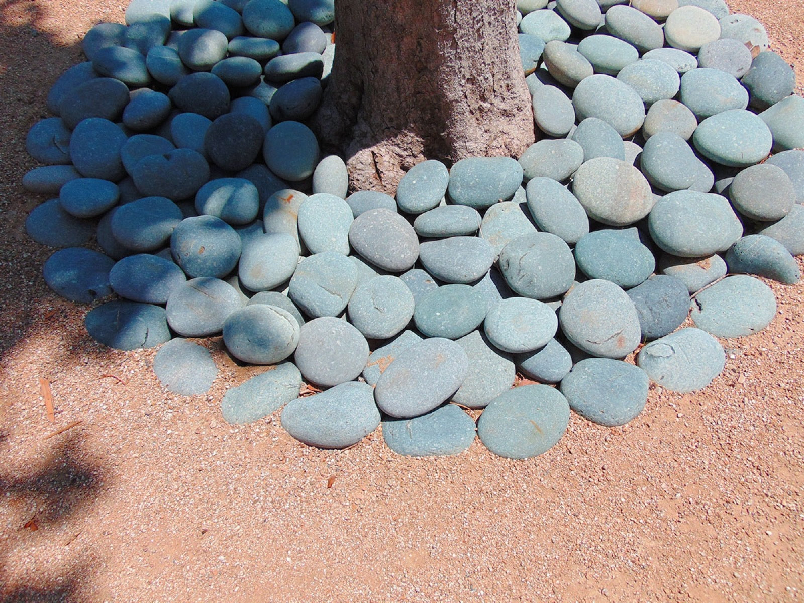 Black Mexican Beach Pebbles 5 inch - 8 inch