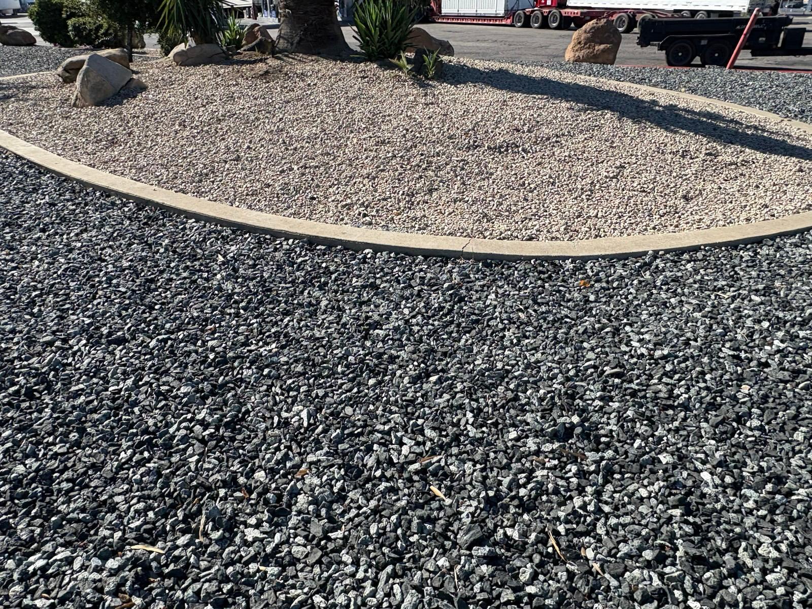 Black n Silver Rock 1 inch surrounding a curbed planter island with palm and boulders