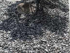 Black Polished Pebbles, Black Polished 1/2 Sample