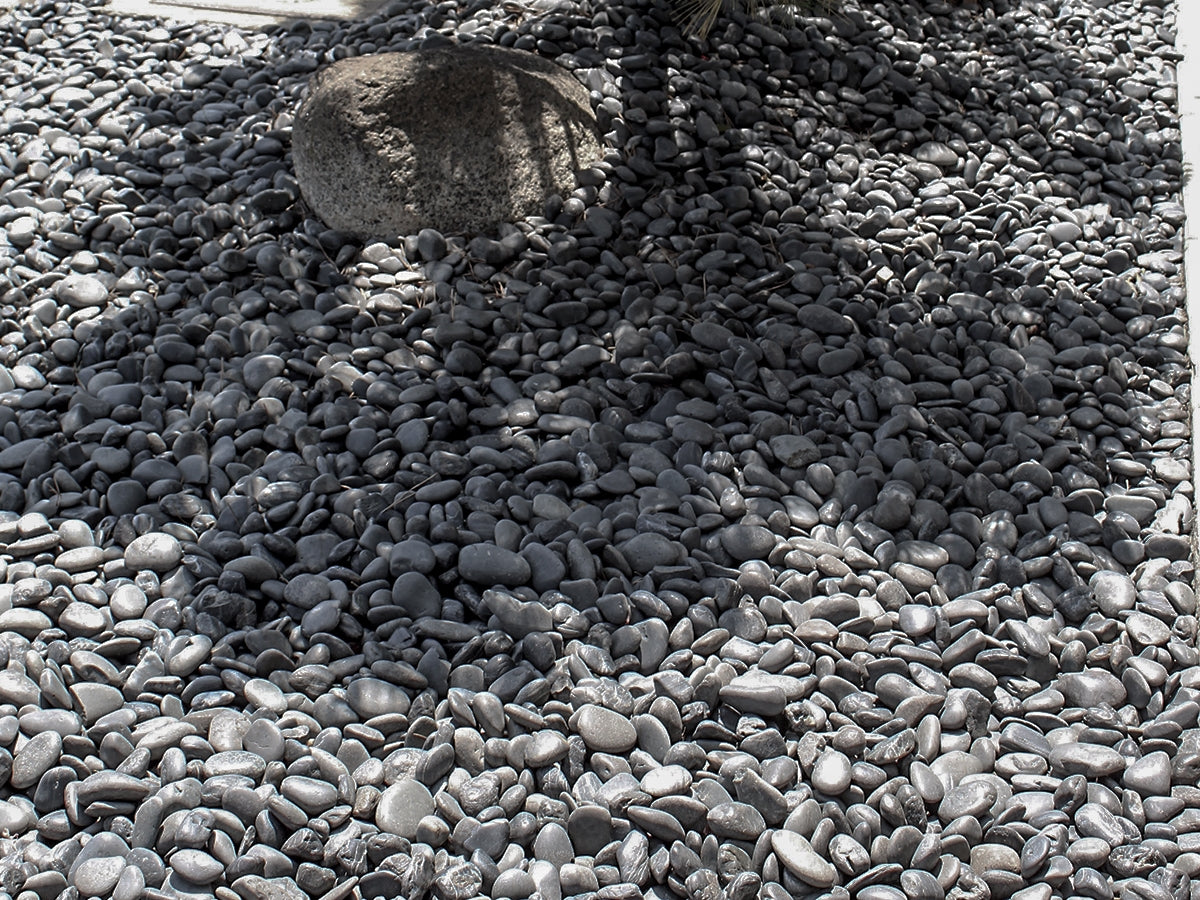 Black Polished Pebbles, Black Polished 1/2 Sample