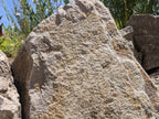 Calistoga specimen landscape boulder, quoted individually