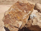 Casino Royale Gold specimen landscape boulder, quoted individually
