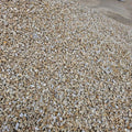 Champagne Gravel