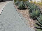 Cloud Nine Decomposed Granite