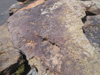 Colorado moss and lichen rock boulders