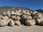 Desert Gold landscape boulders, 30 to 36 inch size