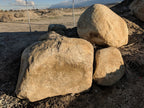 Desert Gold landscape boulders, 3 to 4 foot size