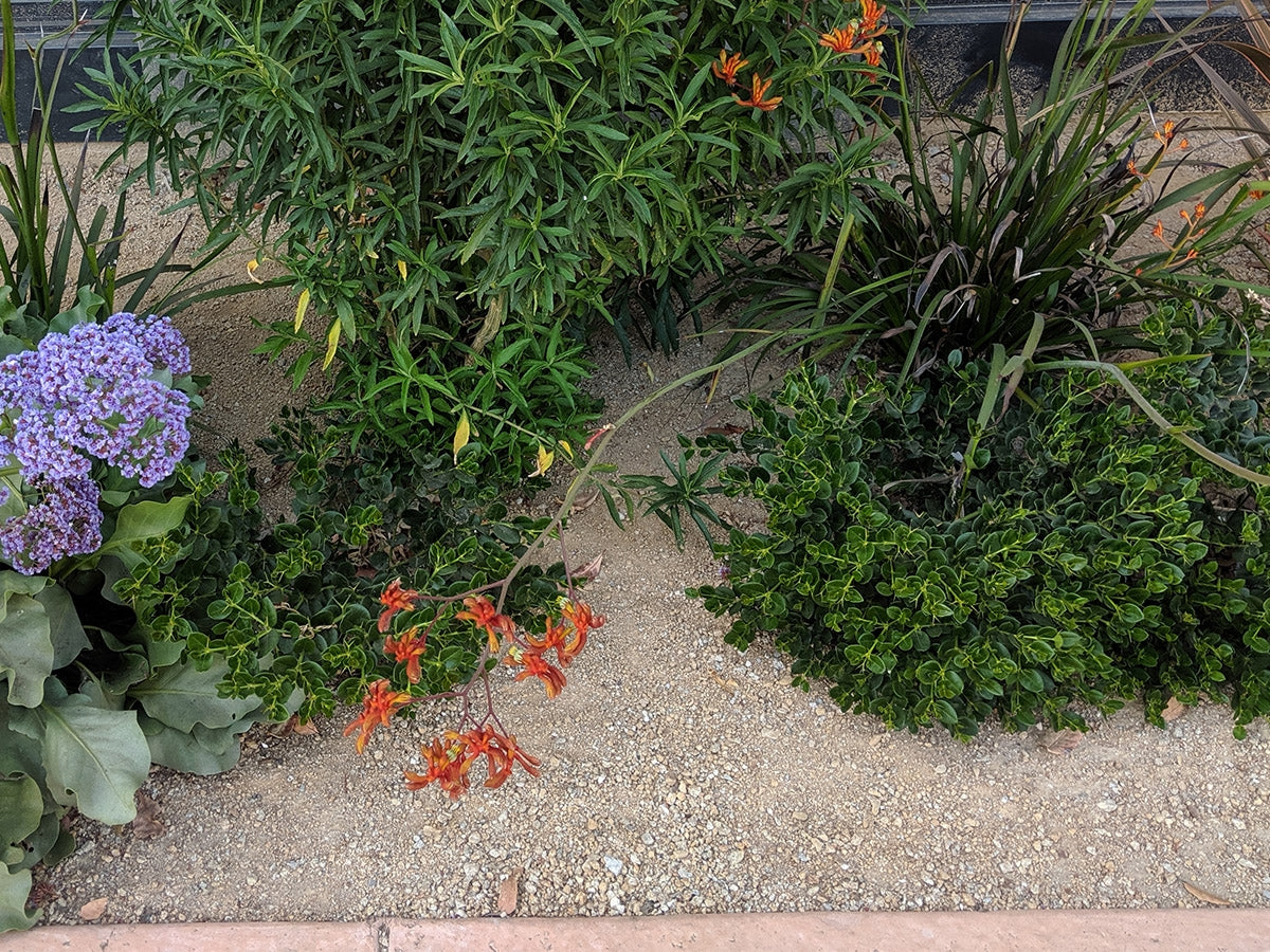 Gold Coast Decomposed Granite