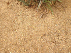 California Gold Decomposed Granite