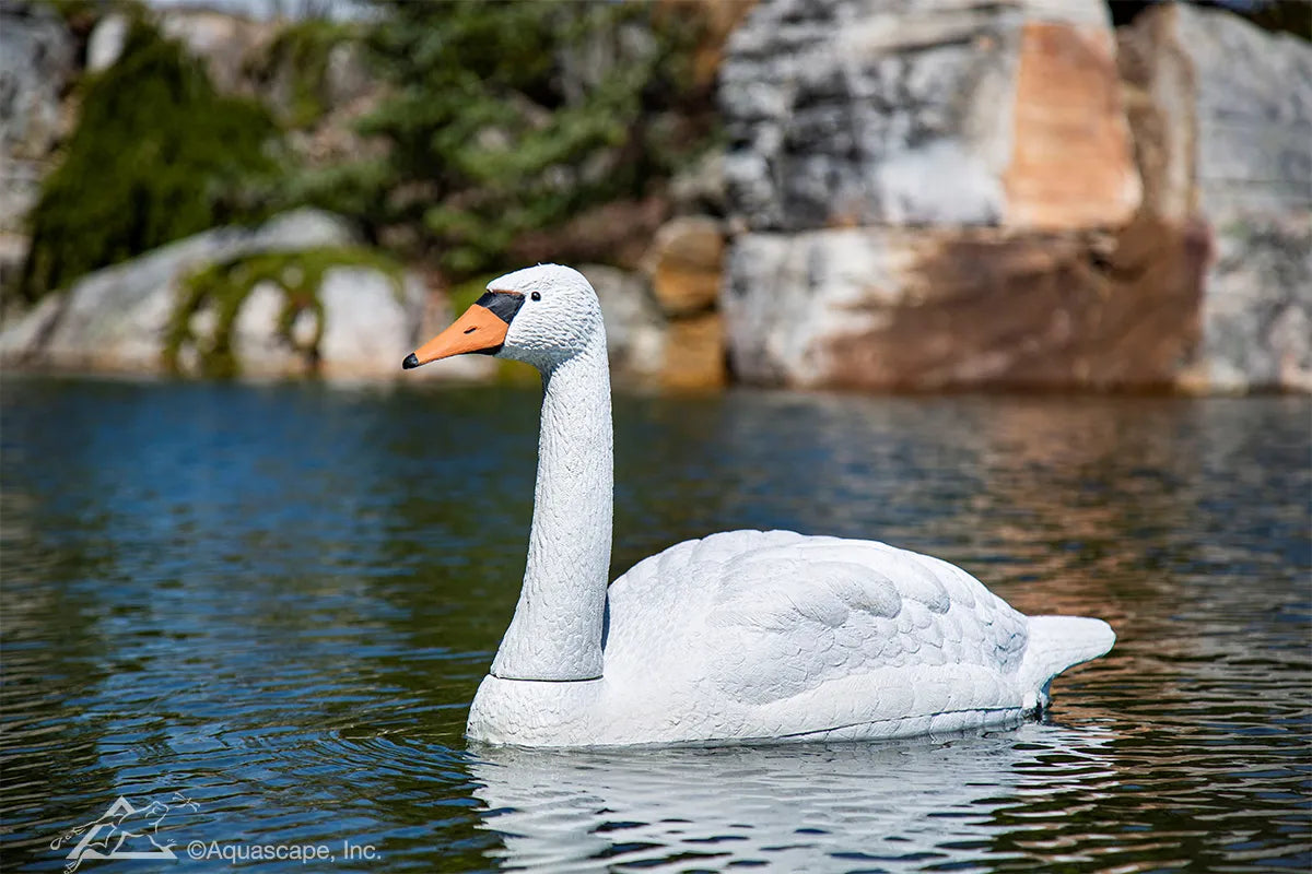 Floating Swan Decoy – image 2