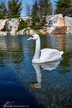 Floating Swan Decoy – image 3
