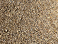 Gold Nugget Gravel Rock