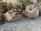 Granite moss rock boulder with thick moss beside a weathered granite boulder