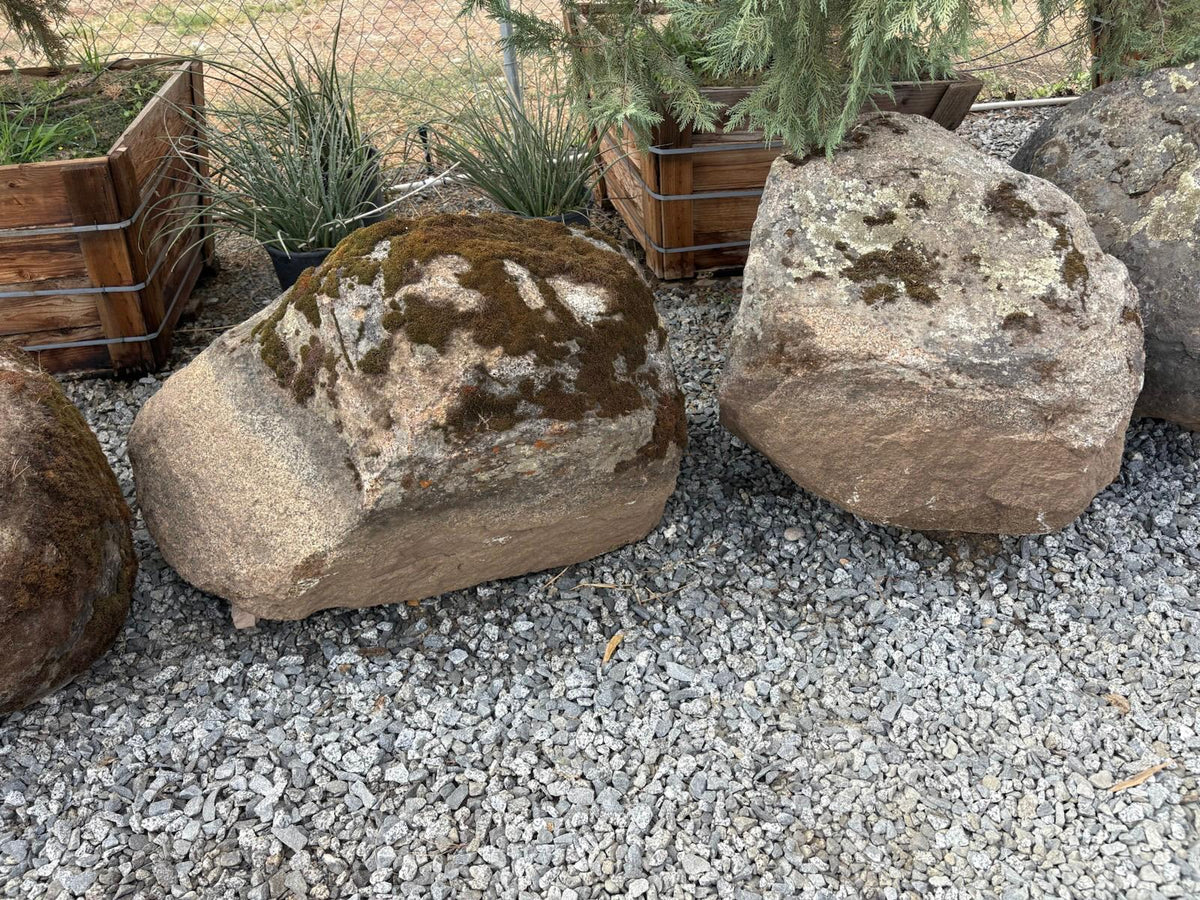 Granite moss rock boulder with thick moss beside a weathered granite boulder