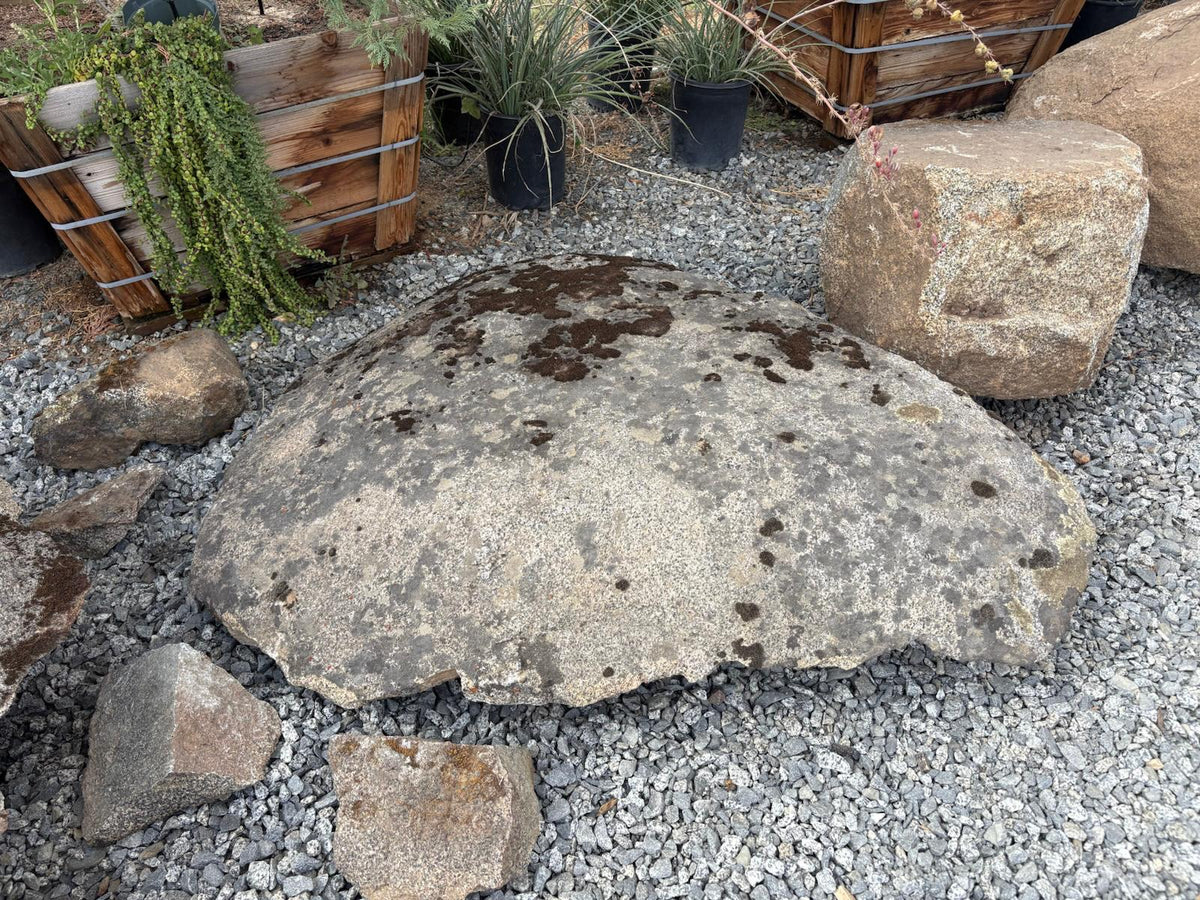 Large flat granite moss rock boulder covered in pale lichen and moss