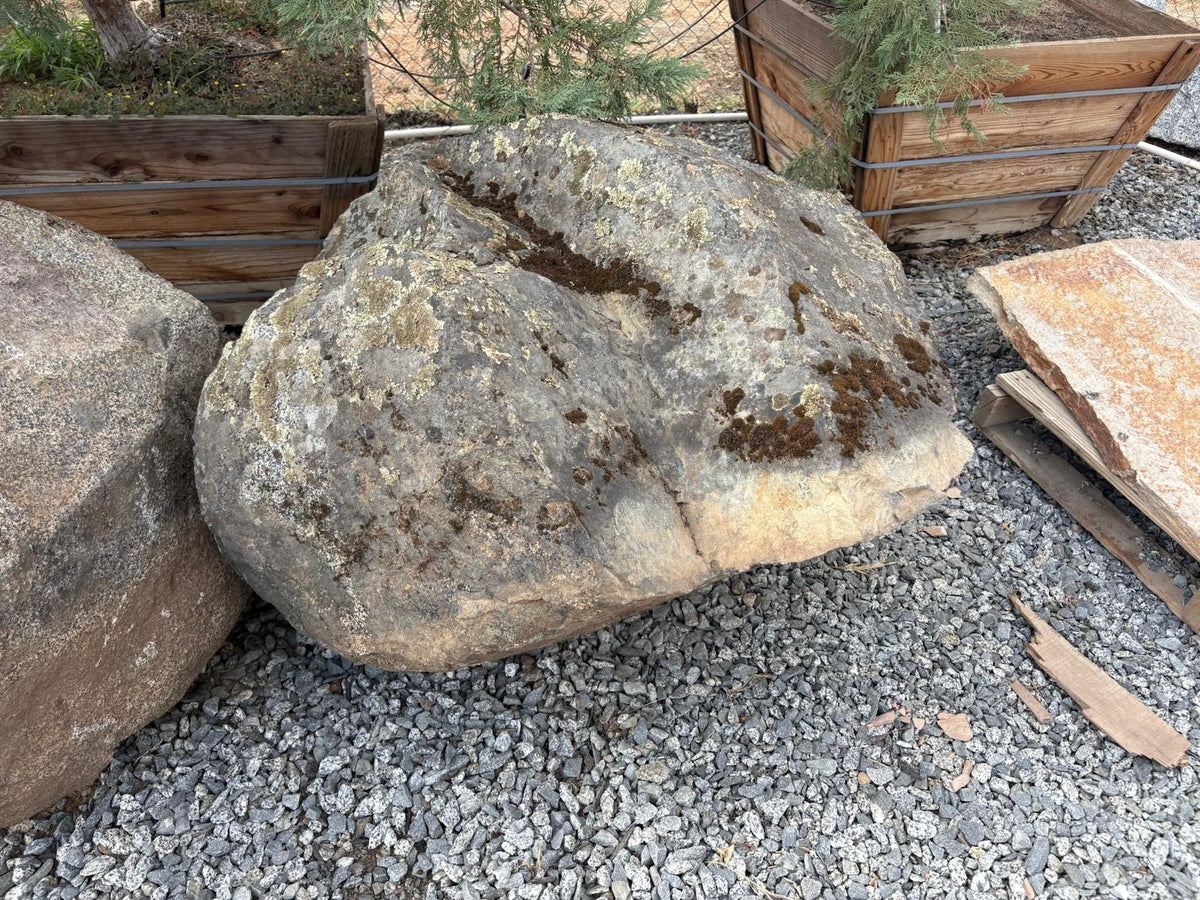 Large granite moss rock boulder with moss along the top