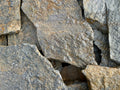Indian Paintbrush Flagstone