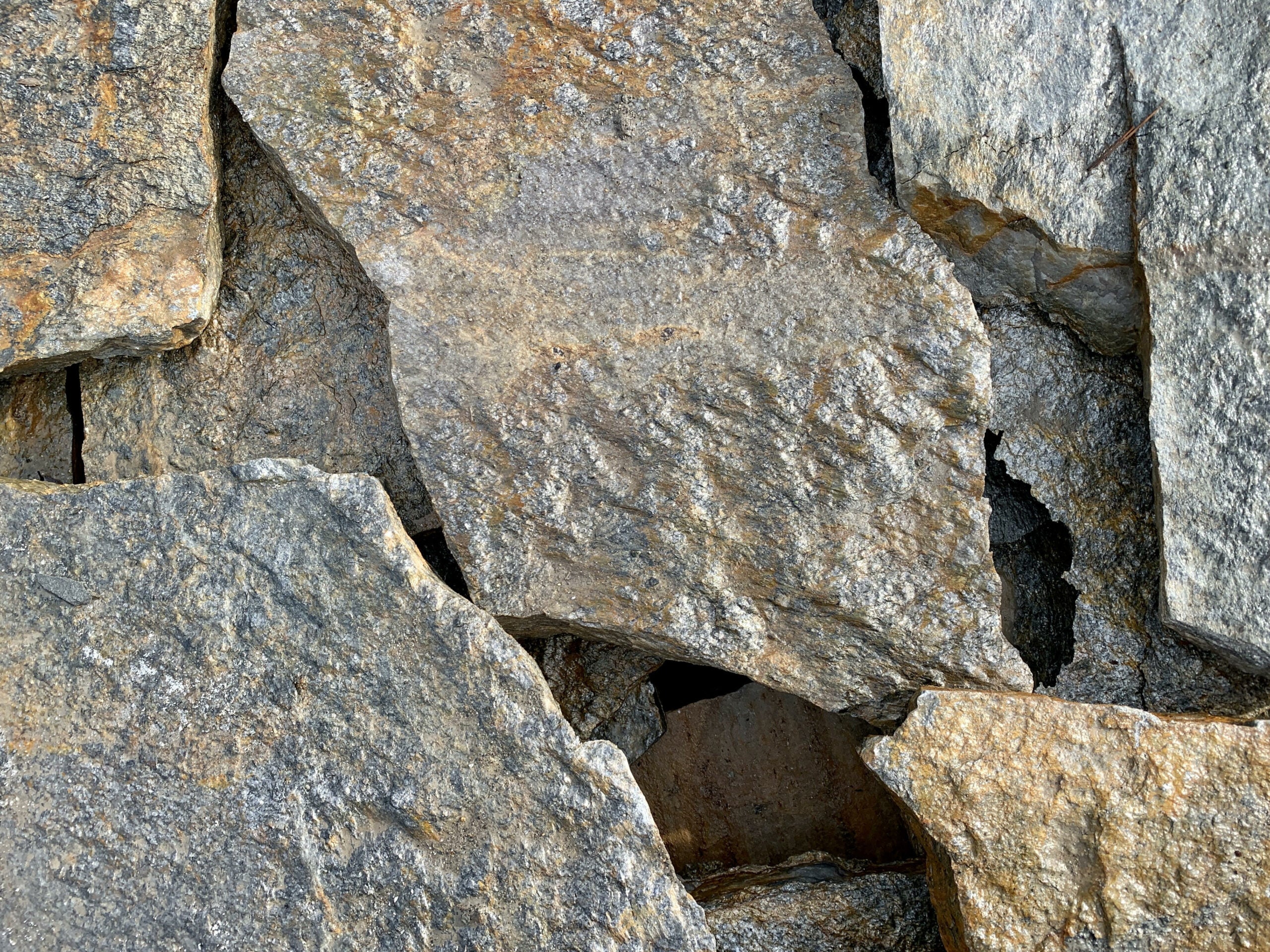 Indian Paintbrush Flagstone