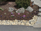 Irish Knights Green landscape boulders, 24 to 30 inch size