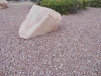 Las Vegas Rainbow landscape boulders, 2 to 3 foot size