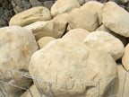 Malibu landscape boulders, 2 to 3 foot size