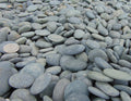 Mexican Black Beach Buttons, flat 1/2 to 1 inch black beach pebbles with a coin for scale