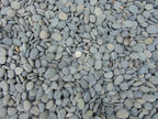 Mexican Black Beach Buttons, flat smooth black and grey beach pebbles