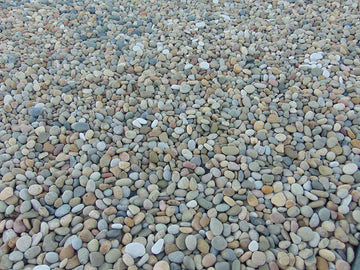 Botones de Playa Mexicanos Beige