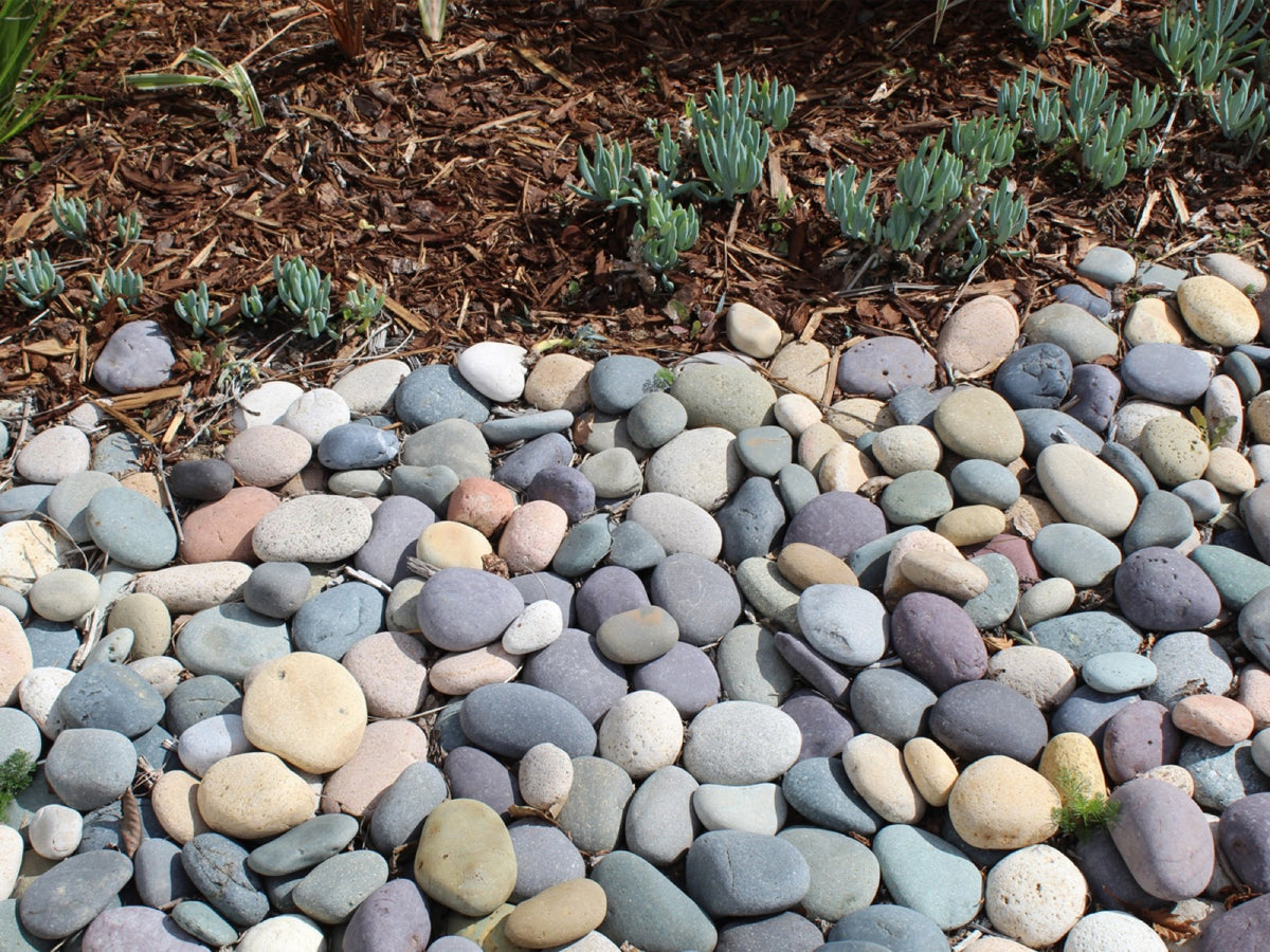 Mixed Colors Mexican Beach Pebbles 1 to 2 inch