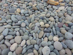 Mixed Colors Mexican Beach Pebbles 2 to 3 inch
