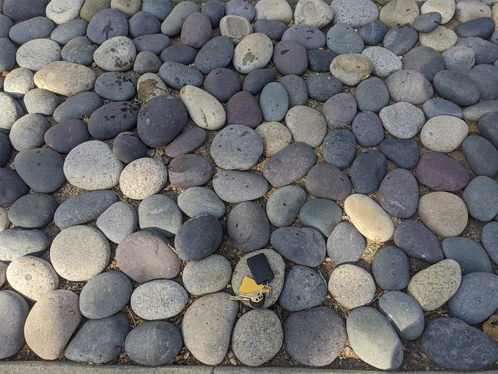 Mixed Colors Mexican Beach Pebbles 3 to 5 inch