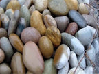 Mixed Colors Mexican Beach Pebbles 5 to 8 inch