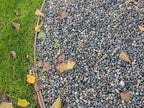 Mixed Colors Mexican Beach Pebbles 1/2 to 1 inch