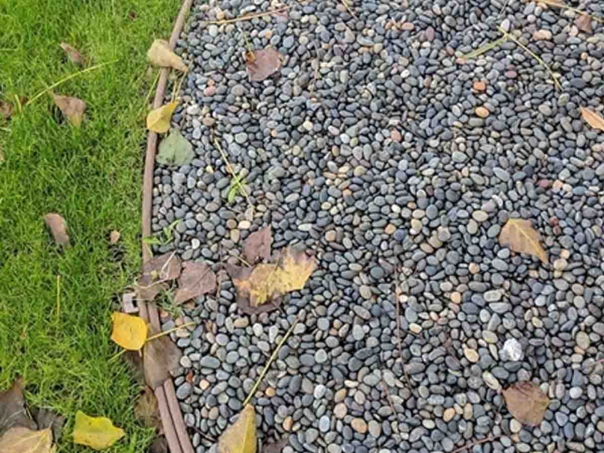 Mixed Colors Mexican Beach Pebbles 1/2 to 1 inch