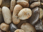 Mixed Colors Polished Pebbles, Mixed Colors Polished 1/2- 1 50 Lb Bag