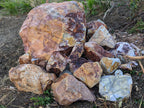 Mojave Sunset specimen landscape boulder, quoted individually