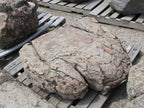 Montana Moss landscape boulders, 36 to 42 inch size