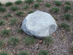 Mountain Gray landscape boulders, 24 to 30 inch size