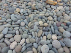 Mixed Colors Mexican Beach Pebbles